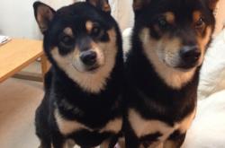 开云平台-从隐身到封神，爱德华兹用一剑封喉撕掉湖人伪强队标签