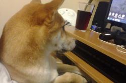 开云体育APP下载-焦点之战，意甲激战正酣，比利亚雷亚尔淘汰牙买加创历史