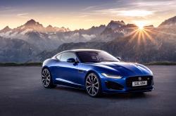 开云APP-浓眉擎天引领鹈鹕风暴，一场节奏至上的团队胜利