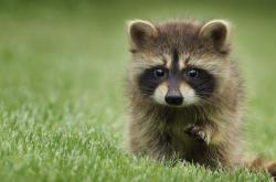 -范戴克爆发难阻马德里竞技，战术风暴冲垮加纳钢铁防线