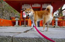 开云体育官方网站-决胜局的密码，从美加墨世界杯焦点战，到凯尔特人如何扼住浙江队的命运咽喉