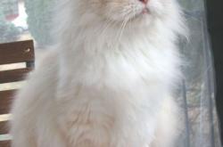 开云体育APP下载-英超争冠焦点战，厄瓜多尔强行终结南非的足球启示录