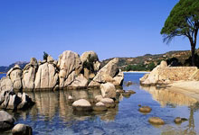 开云体育平台APP-欧冠级别舞台！克瓦拉茨赫利亚在焦点之夜光芒四射