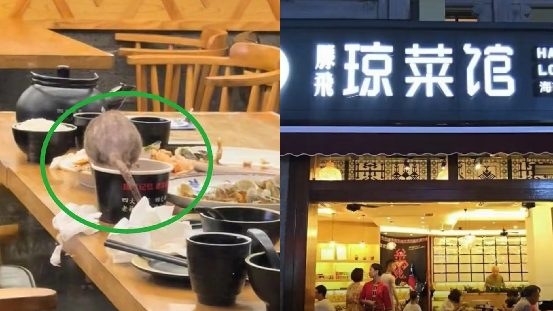海南队再胜一仗，实力逐渐显露