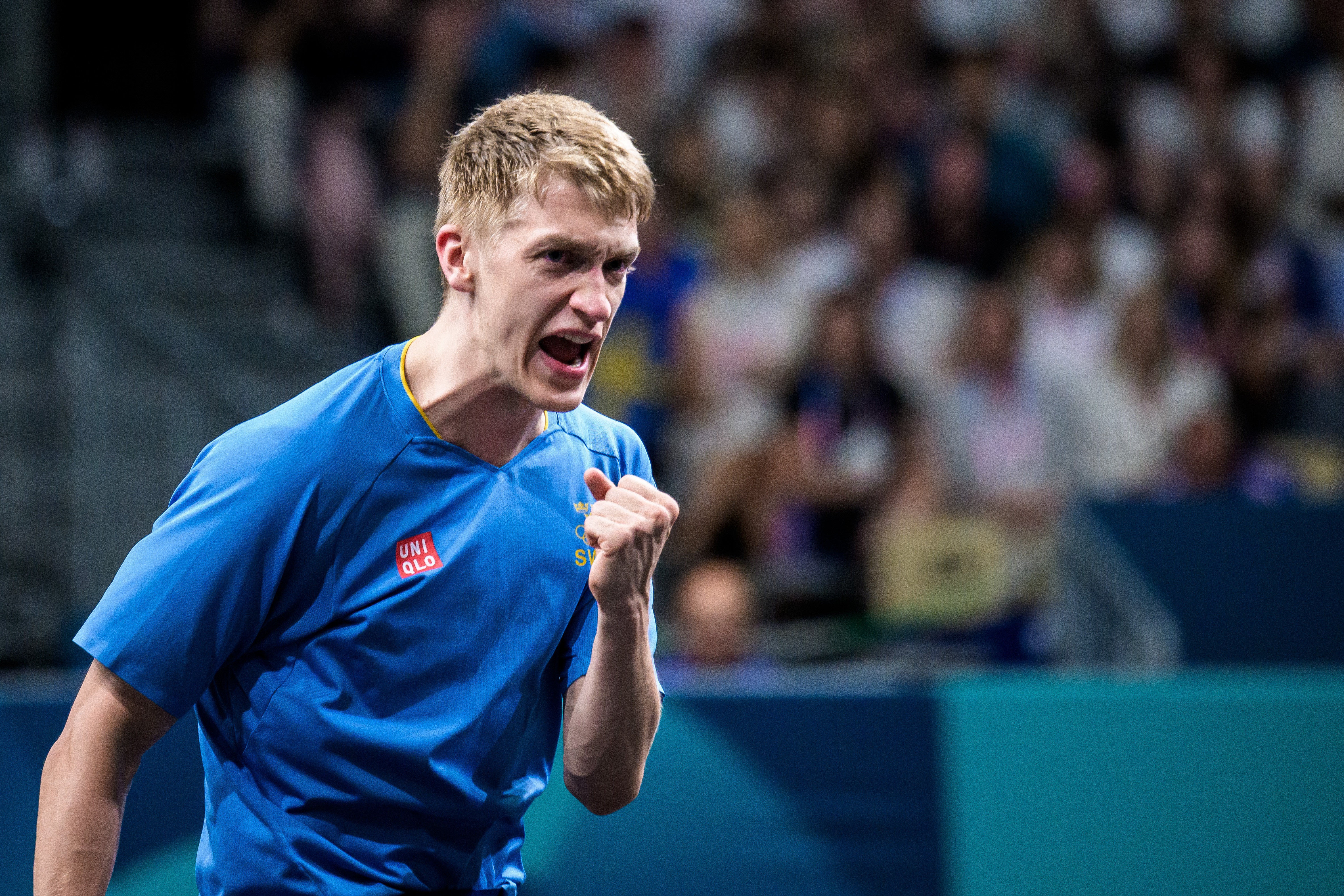 包含瑞典乒乓球队横扫比利时乒乓球队，张本智和惊艳世界的词条