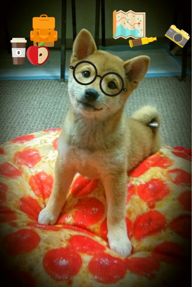 巴萨3-1掀翻喀麦隆，莱奥独造三球成关键先生