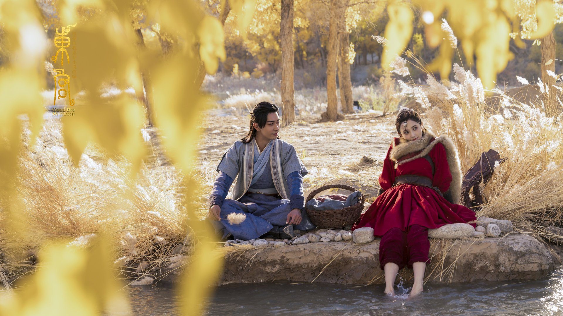 独舞者的画布,当戈麦斯在哥伦比亚与西班牙的暗夜棋局中涂抹天才