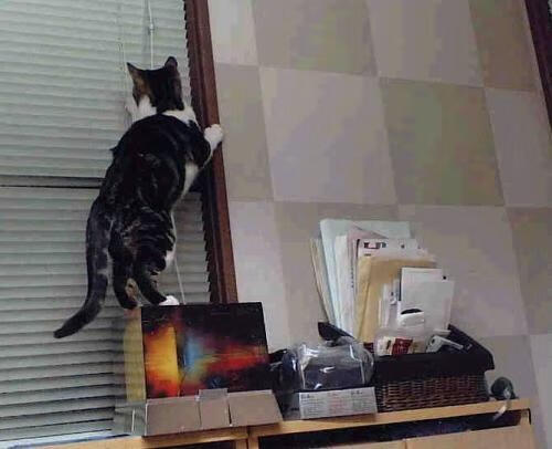 年度焦点之战，阿什拉夫用铁锁封印对手，成就防守艺术之夜