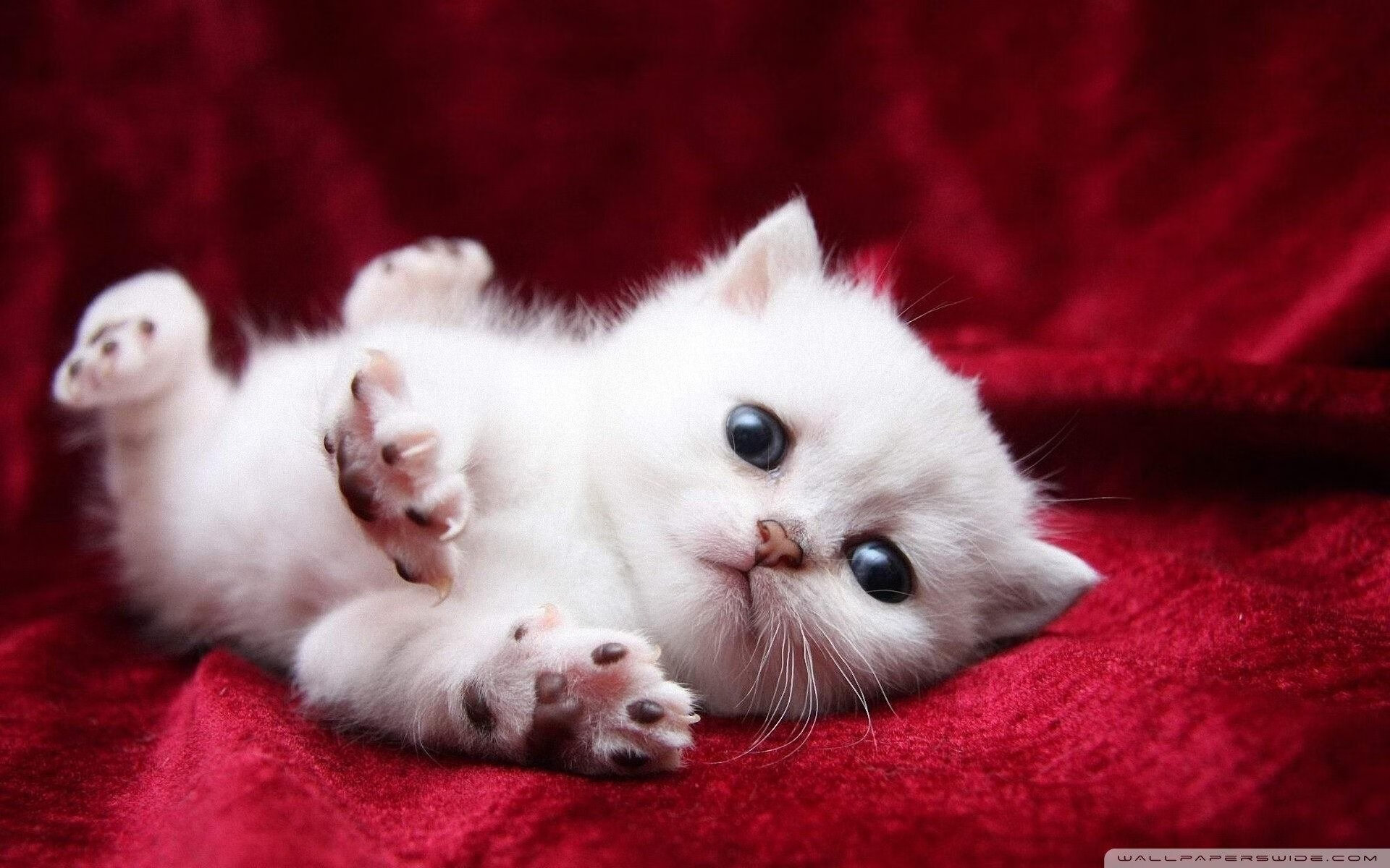 哈登关键球制胜，掘金攻防压制热火