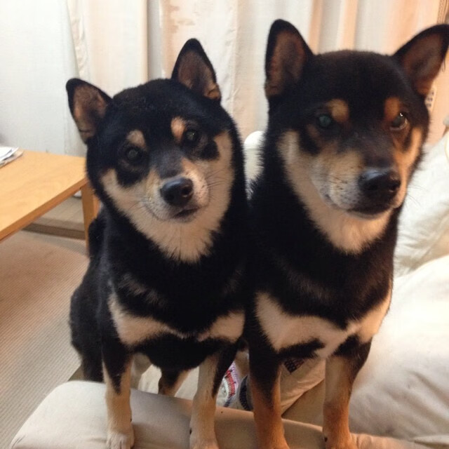 从隐身到封神，爱德华兹用一剑封喉撕掉湖人伪强队标签