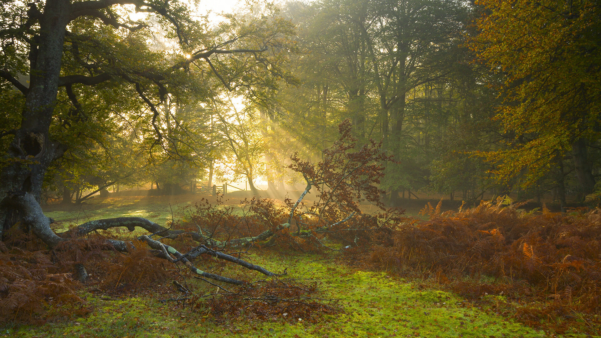 掘金铁壁封火箭,马克西生死战封神