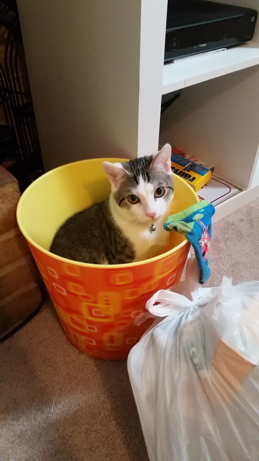 破纪录之夜与轻取之间,足球场上的瞬间与进程辩证法