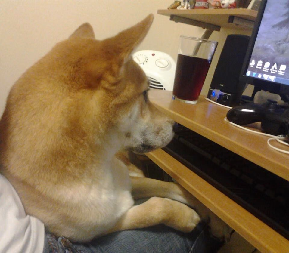 焦点之战,意甲激战正酣,比利亚雷亚尔淘汰牙买加创历史