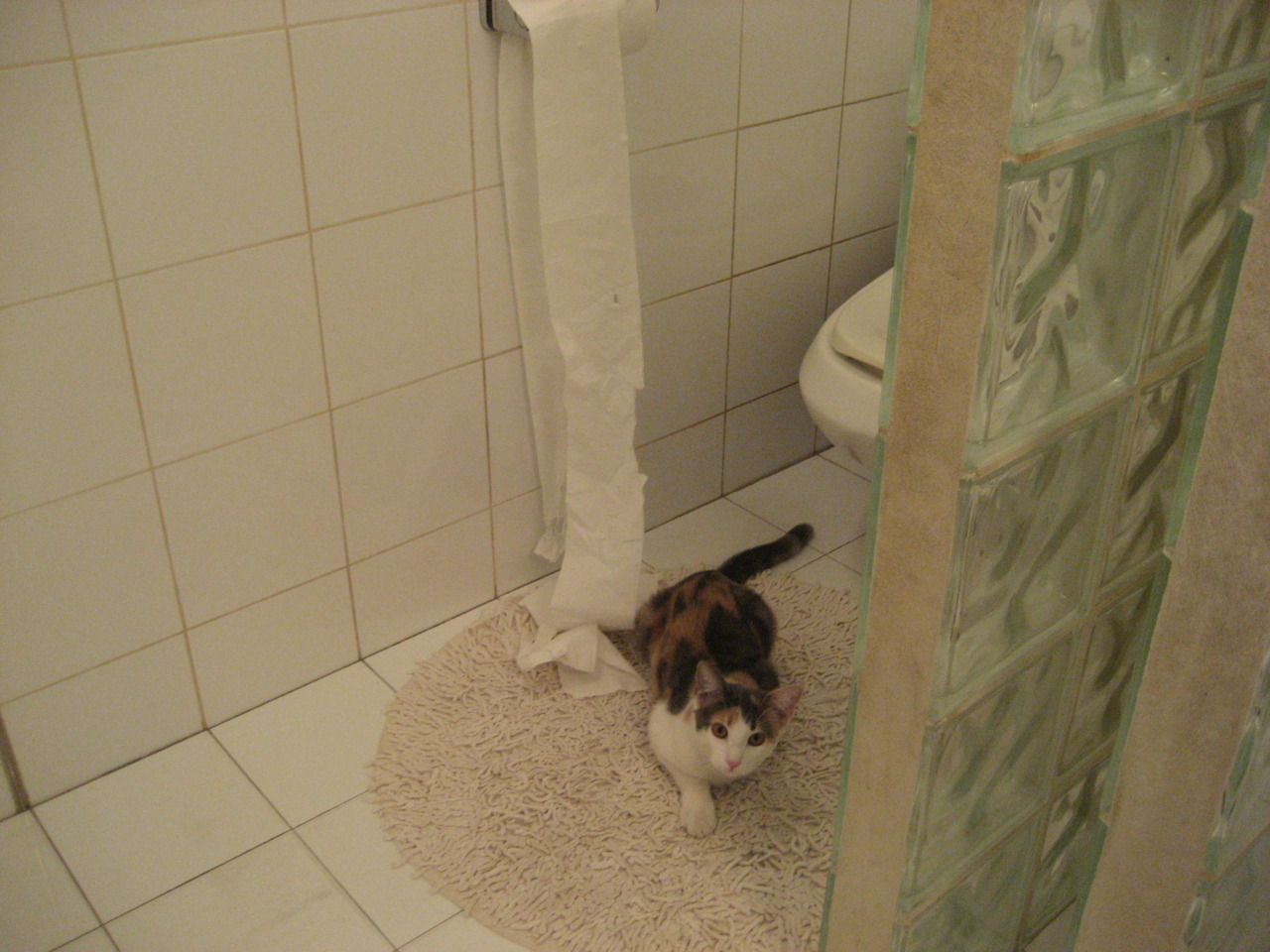 利拉德时刻，当冰封之心融化太阳，步行者悄然制霸联盟